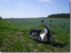 IMGP4631 - Kopie